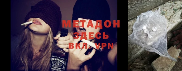 гашик Алексин