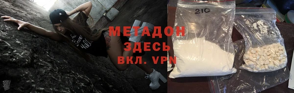 гашик Алексин