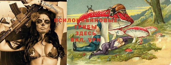 PSILOCYBIN Алзамай