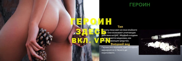 гашик Алексин
