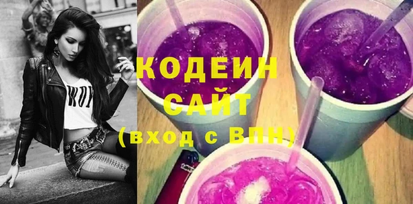 гашик Алексин