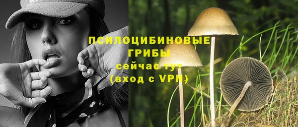 PSILOCYBIN Алзамай