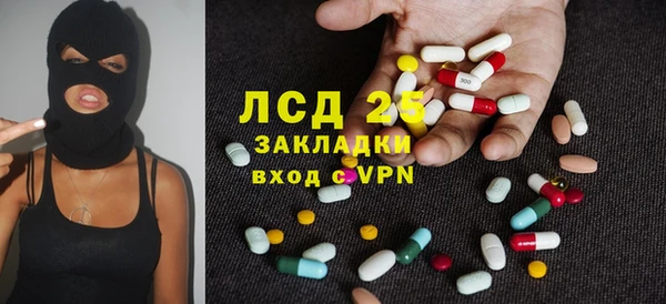 PSILOCYBIN Алзамай