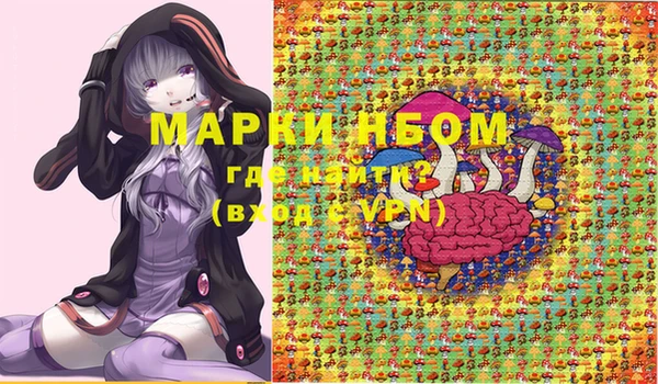 гашик Алексин