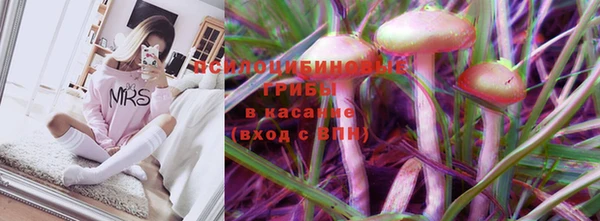 гашик Алексин